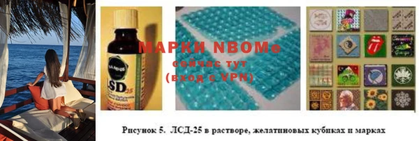 гидра Елабуга