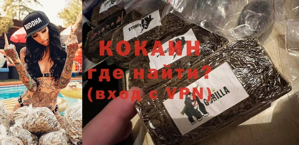 дмт Ельня