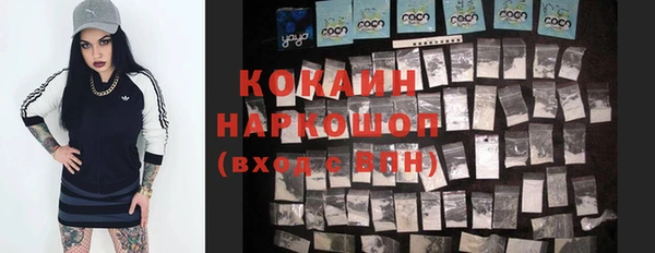 твердый Елизово