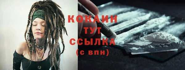 индика Заволжье