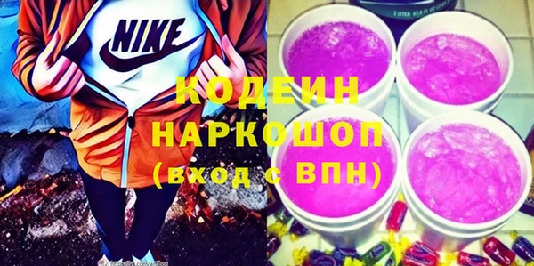 гидра Елабуга
