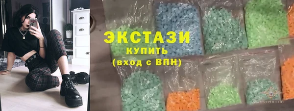 дмт Ельня