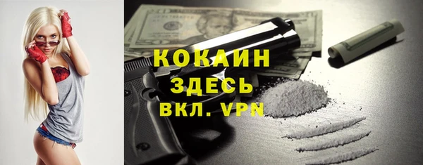 твердый Елизово