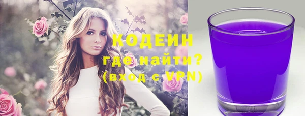 дмт Ельня