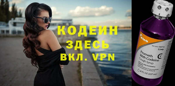 дмт Ельня