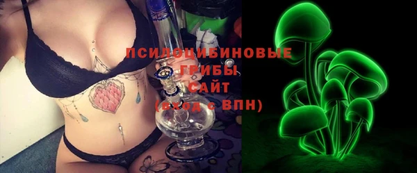 твердый Елизово
