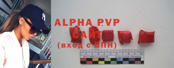дмт Ельня