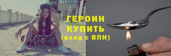 гидра Елабуга