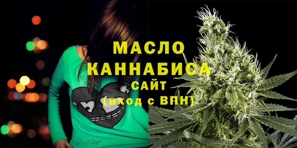 индика Заволжье