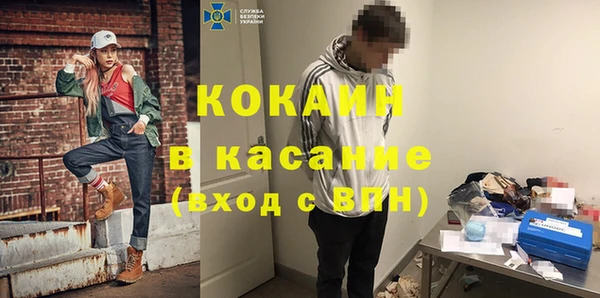 гидра Елабуга
