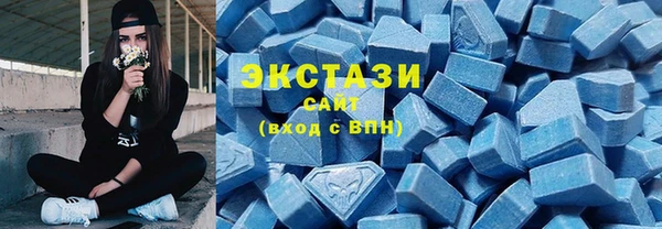 гидра Елабуга
