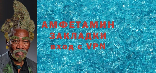 гидра Елабуга