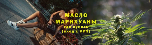 дмт Ельня