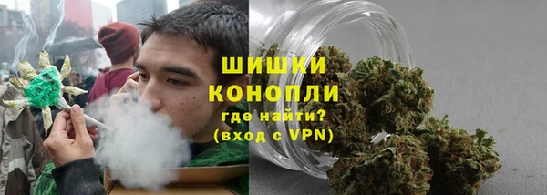 дмт Ельня