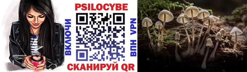 Галлюциногенные грибы Cubensis  мега ТОР  Камень-на-Оби 