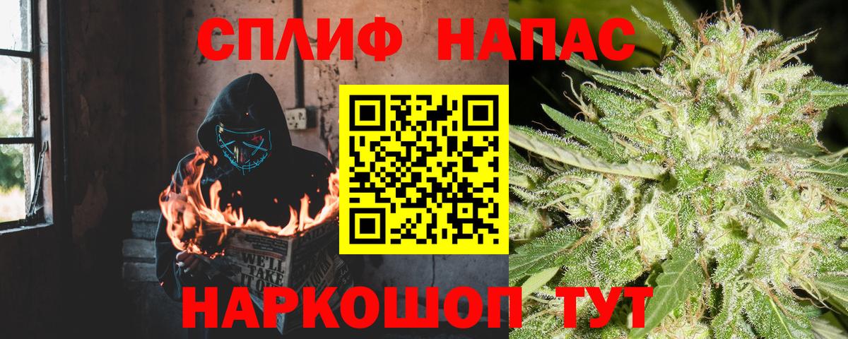 Конопля сатива Камень-на-Оби